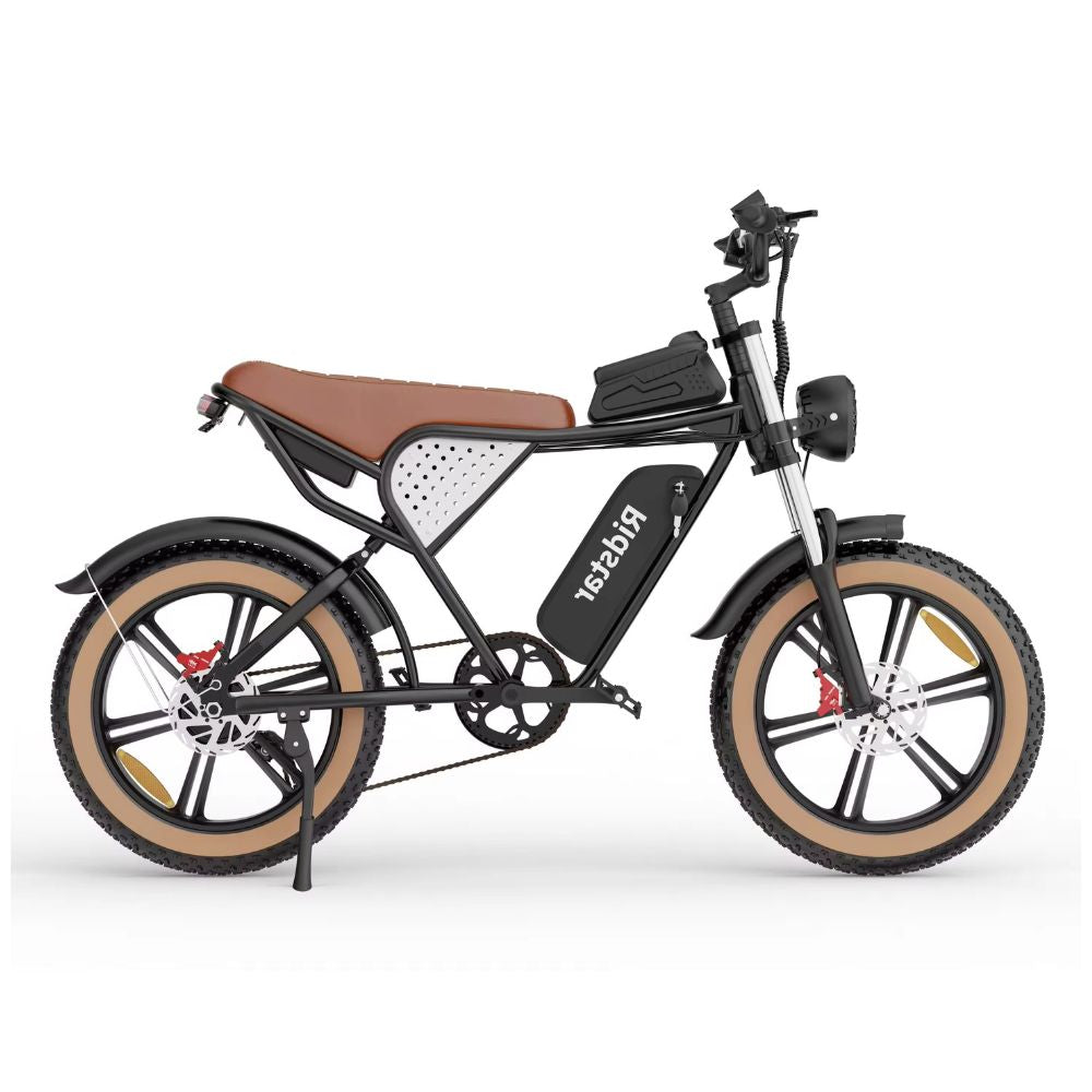 Fat Bike Elettrica Q20 Premium