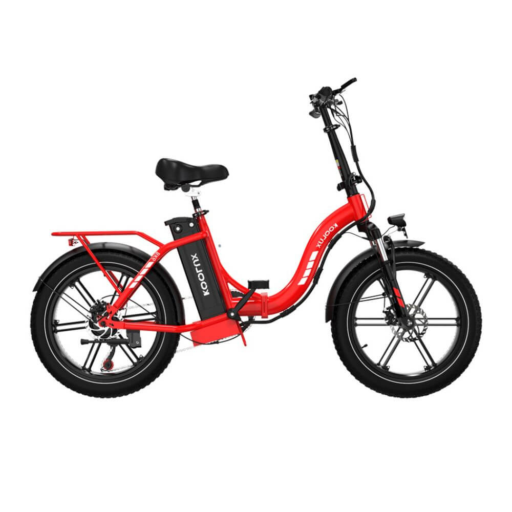 Bici Elettrica Pieghevole BK6S 750W Premium