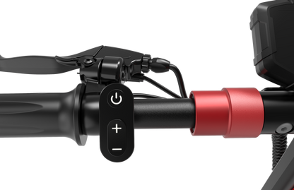 Monopattino Elettrico D5 500W con Ruote 10