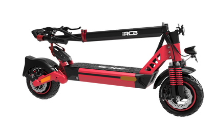 Monopattino Elettrico D5 500W con Ruote 10